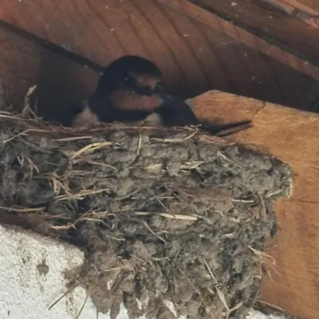 Casa D'avo Tiz Lägenhet *