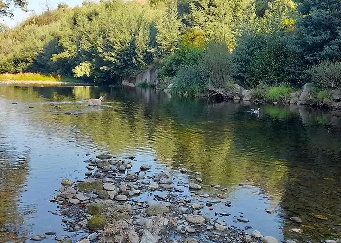 Apartamento Casa D'avó Tiz *